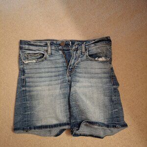 BKE Payton Stretch Shorts